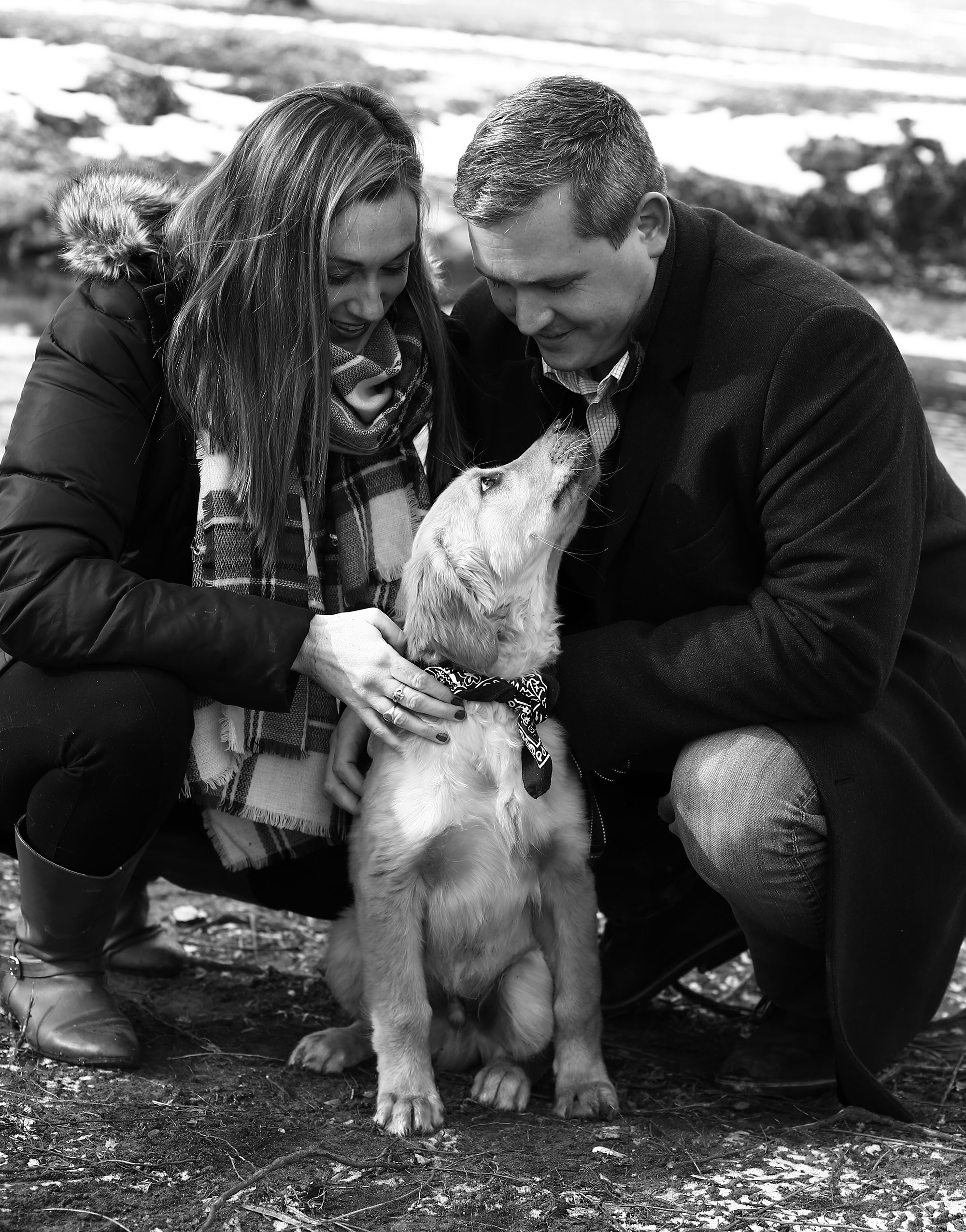 engaged couple and puppy during Lake Erie engagement photo session at Frontier Park in Erie, PA