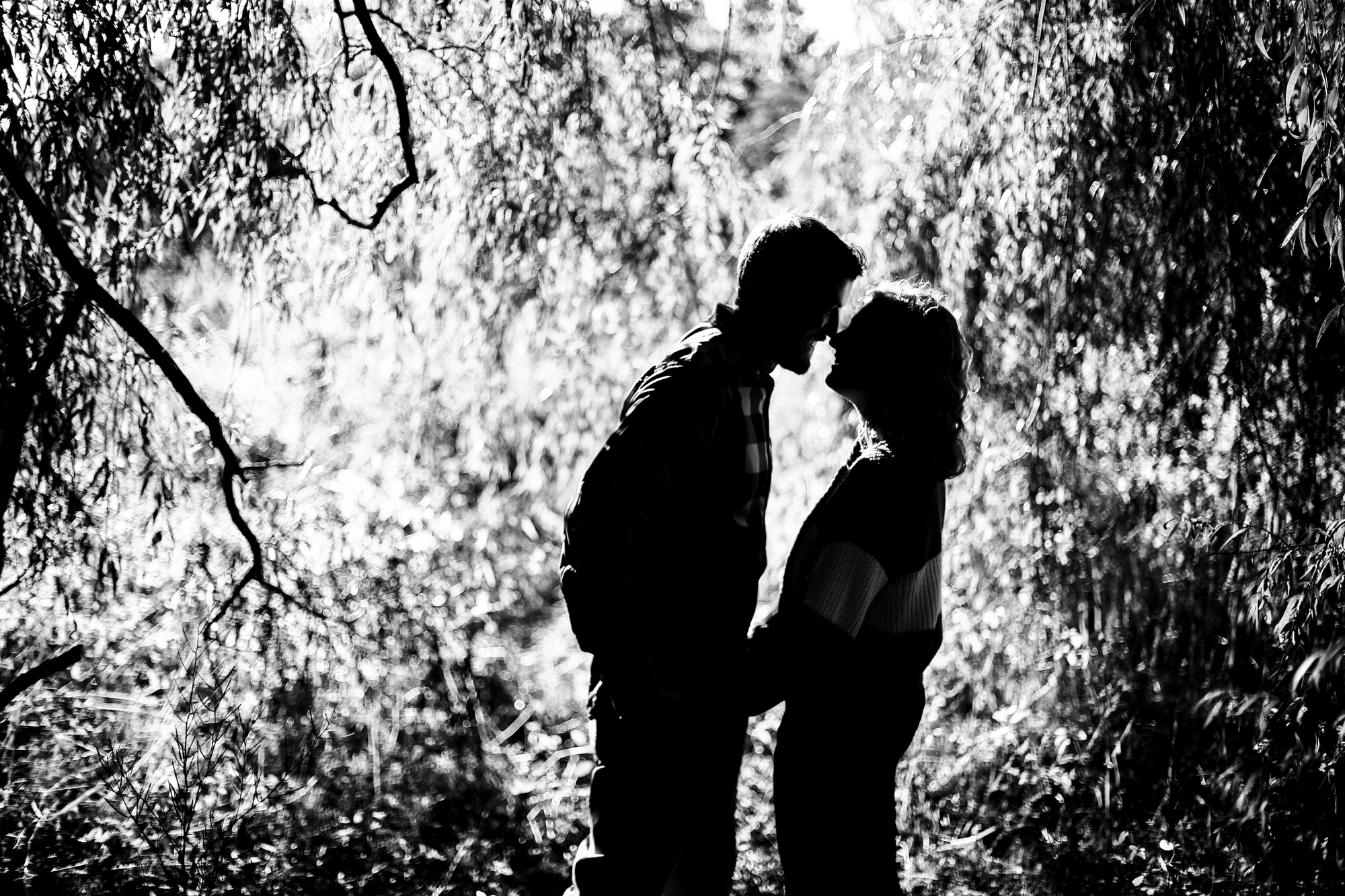 Silhouette of engaged couple standing among trees at Frontier Park