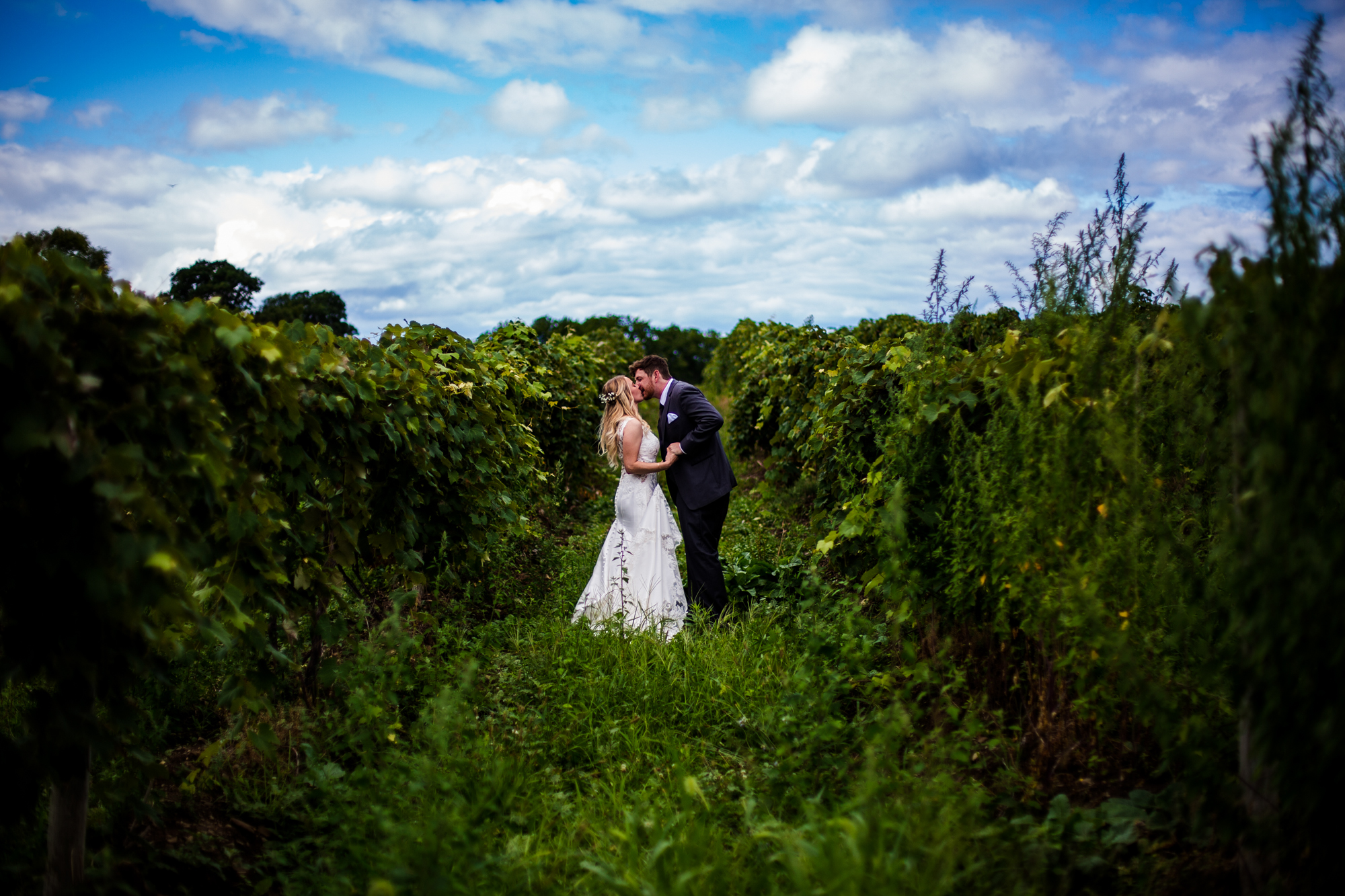 Bride and groom kissing in the middle of Quincy Cellars vineyard