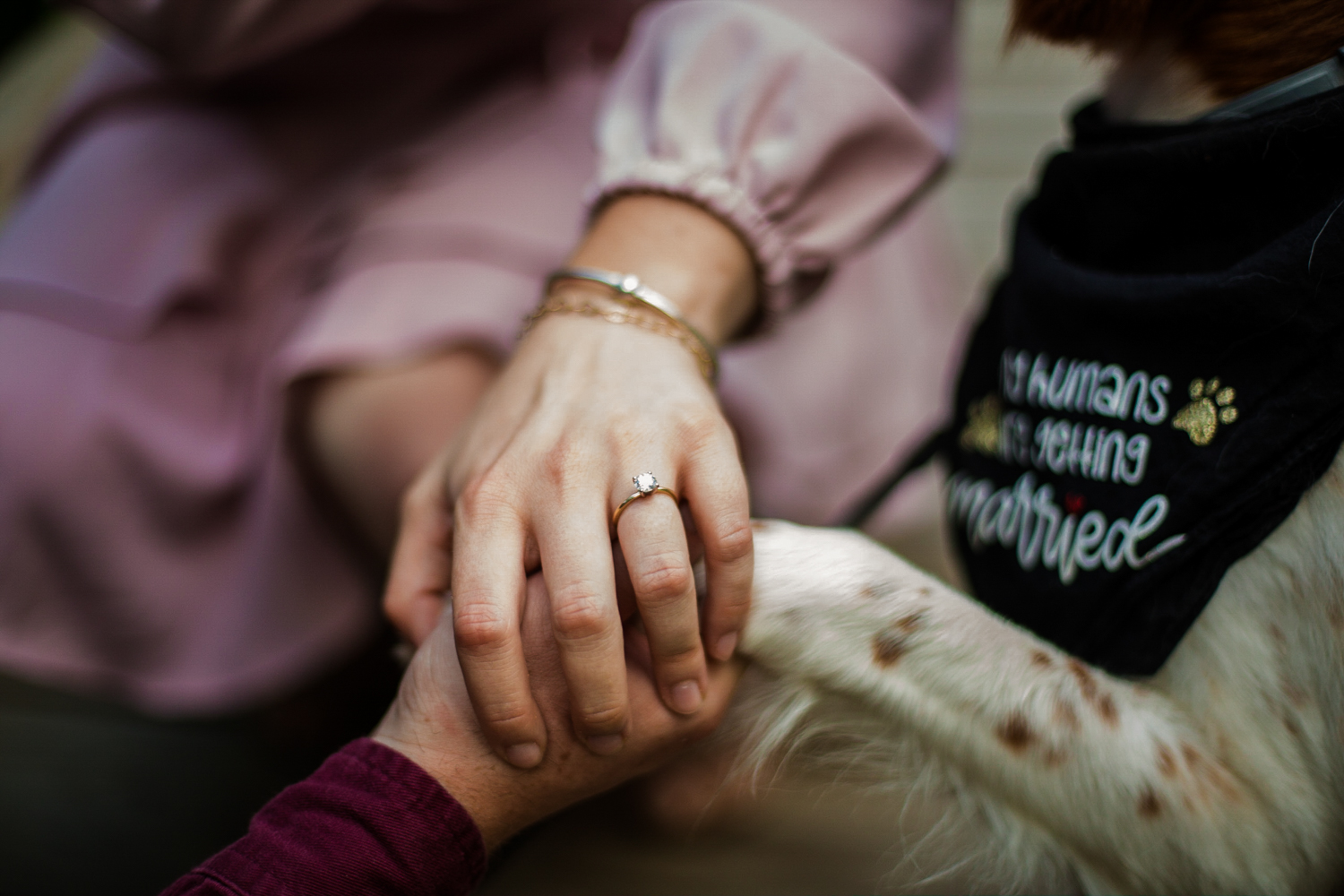Man, woman and their dog hold holds with woman's engagement ring as focus